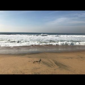 Meet your Posher, Silvia